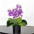 ЦС35/33-3 Орхидея искусственная h26см в интерьерном кашпо, фиолет