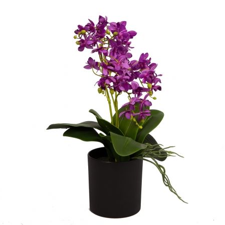 ЦС35/33-3 Орхидея (фиолетовая) h26см в интерьерном кашпо d15см