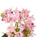 ЦС35/33-2 Орхидея (розовая) h26см в интерьерном кашпо d15см