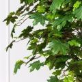 300/РН/29(з)(Пр)(F) Клён искусственный крупный лист h300см