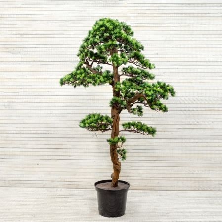 150/ОС/30 Бонсай сосна искусственный h150см