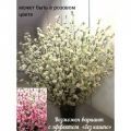150/ШК/46М Сакура искусственная h120см, белая