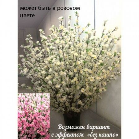 150/ШК/46М Сакура (белая)120см (шир.140см)