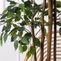180/Р/34(Пр)(F) Фикус искусственный h180см (латекс)