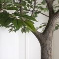 300разб/34-2 Фикус искусственный разборный (латекс) h300см