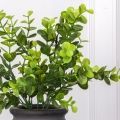 7143/0016-2 Самшит эвкалиптовый искусственный крупный куст 7 частей h34см (24+10), зеленый