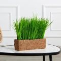 ТД061(F) Трава искусственная h15см в кокосовом боксе 25х8х8см
