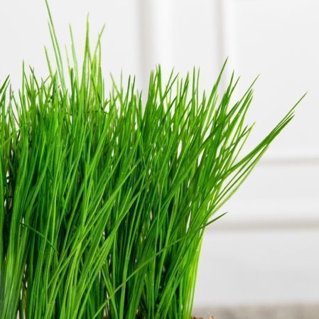 ТД061(F) Трава искусственная h15см в кокосовом боксе 25х8х8см