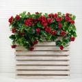 811/08-4(Пр) Ящик деревян. 75-20 h-70см