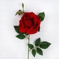 7141А/0171-4/2 Роза искусственная бархатная 1 голова, d15см, h65см, красная