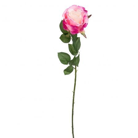 401/0332-1P Роза *1 (розов.)