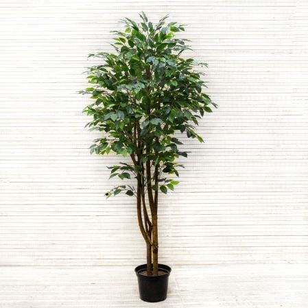 200/РН/34 Фикус искусственный h200см (латекс)