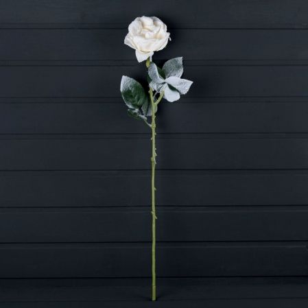 736/9180-1(Sale) Роза заснеженная h66см