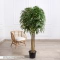 170/ШК/75-1(Пр)(F) Бамбук искусственный 5 стволов, h170см (латекс премиум)