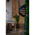 ПК150/К/49-1(з)(Пр)(FixK) Пальма искусственная кустовая h150см (латекс) в интерьерном кашпо