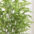 120/К/211 Папоротник Циртомиум куст искусственный (силикон) h120см