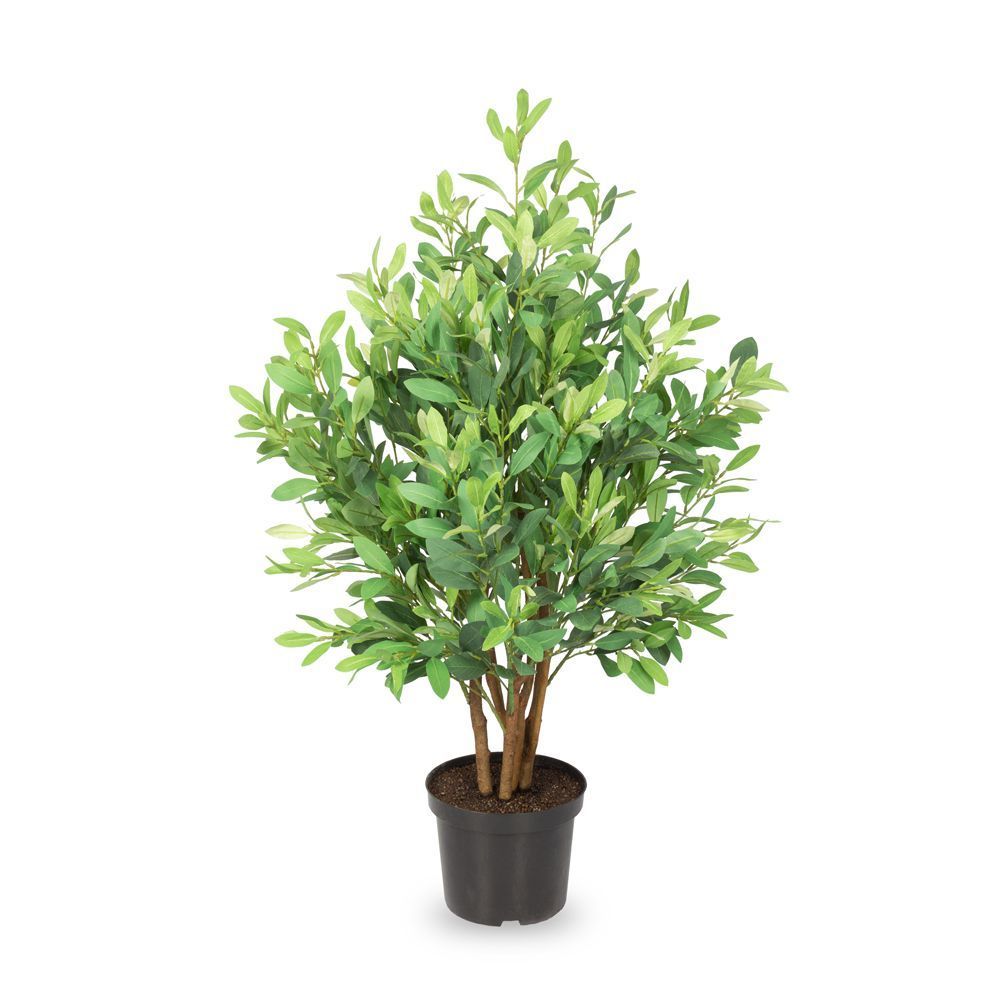Рускус в горшке. Можжевельник куст. Куст х. Куст патина искусственный. Куст х.