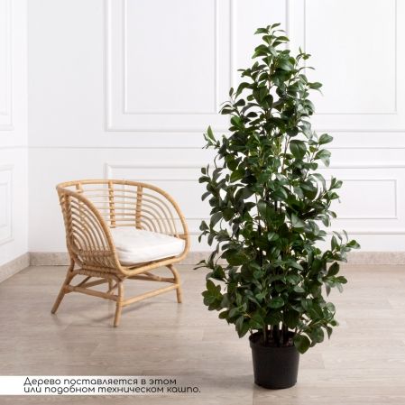 150/К/208(Пр)(F) Рускус искусственный куст h150см в кашпо
