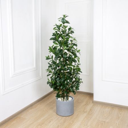 150/К/208 Рускус искусственный куст h150см