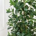 150/К/208 Рускус искусственный куст h150см