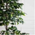 170/Р/34(з)(F) Фикус искусственный h170см в кашпо