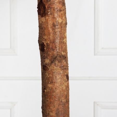 250/ШК/222(F) Дуб искусственный h250см (латекс) 250/ШК/222(F) Дуб искусственный h250см (латекс)