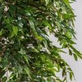 200/ОС/ВП/227(Пр)(F) Фикус искусственный плакучая смоковница h200см