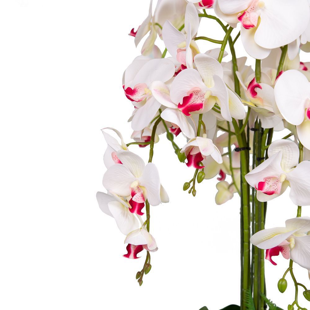 Доставка орхидей по россии. Орхидея h-100. Фаленопсис h55 см d12 см.