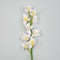 401/0566А Орхидея Цимбидиум сатиновая h75см