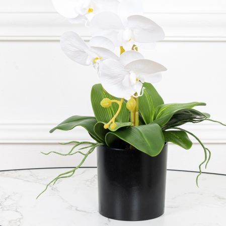 ЦИ60*2/33(з) Орхидея искусственная h60см в кашпо, белая