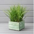 ТДЯ032-52(Promo) Трава зеленая h23см (латекс) в деревянном ящике 14*14*9см