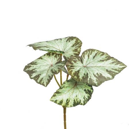 7143/0175-8 Бегония искусственная куст 6 листов h25см (15+10) (латекс), светло-зеленая