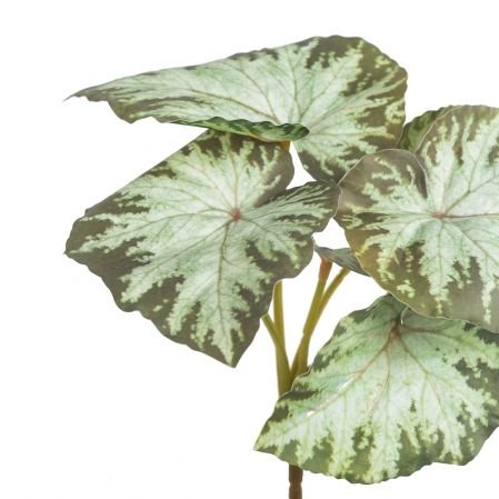 7143/0175-8 Бегония искусственная куст 6 листов h25см (15+10) (латекс), светло-зеленая