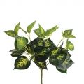 7143/0760-47 Сциндапсус искусственный куст 8 частей h40см (37+10) (латекс), золотой