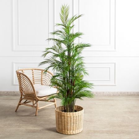 ПК160/5С/359(Пр)(F) Пальма искусственная кустовая h160см