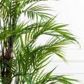 ПК160/5С/359(Пр)(F) Пальма искусственная кустовая h160см