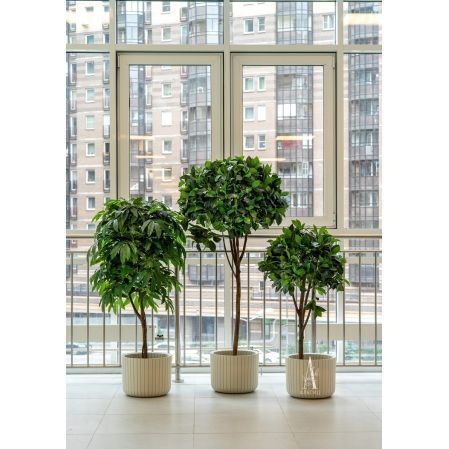 140/РН/220(з)(Пр)(F) Манго искусственное без плодов h140см (латекс)