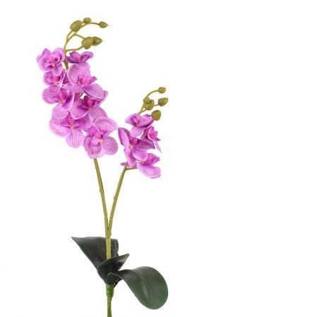 7141/0452/8(Sale) Орхидея с листом h40см