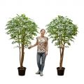 200/РН/34-2(з) Фикус искусственный h200см (латекс)