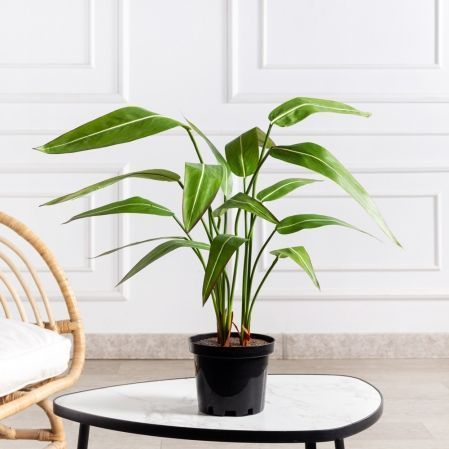 К060*3(Пр)(F) Стрелиция искусственная куст малый h60см (латекс) в кашпо