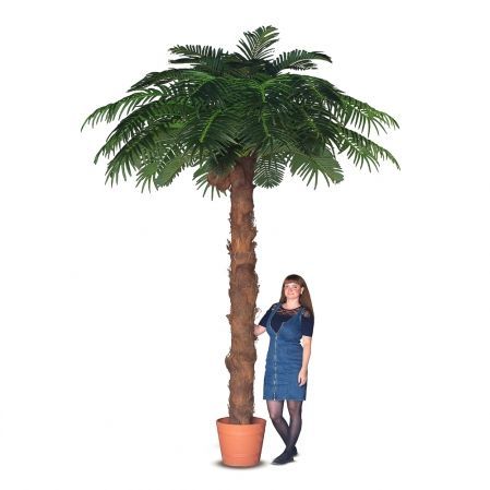 П350/49-6(з) Пальма искусственная с плодами кокоса h350см (латекс)