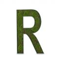 БУК R02 Декоративная Буква "R" со мхом (48х8хh88)