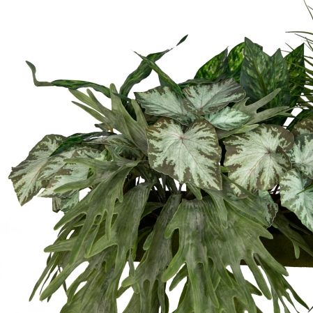 К338 Зеленый микс с ампельными растениями h30-35см(латекс) в кокосовом боксе 50*20*10