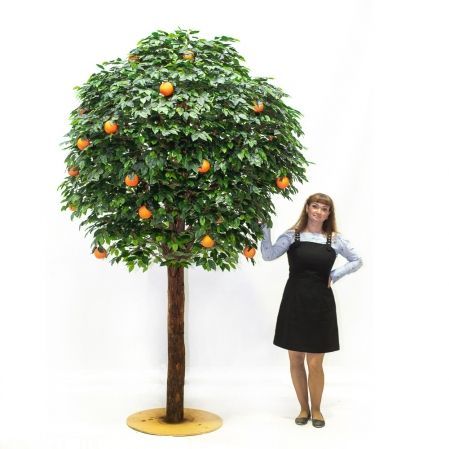 260/ШК/34(з.) Апельсиновое дерево h260см(латекс)