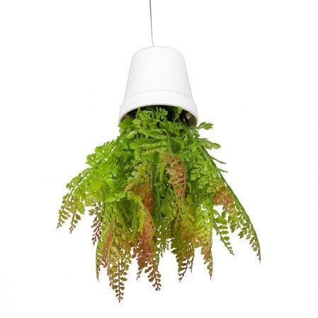 СП06-1/1 Sky Planter Адиантум папоротник искусственный (бордо) h20 в кашпо (11х10см)
