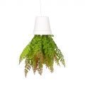 СП06-1/1 Sky Planter Адиантум папоротник искусственный (бордо) h20 в кашпо (11х10см)