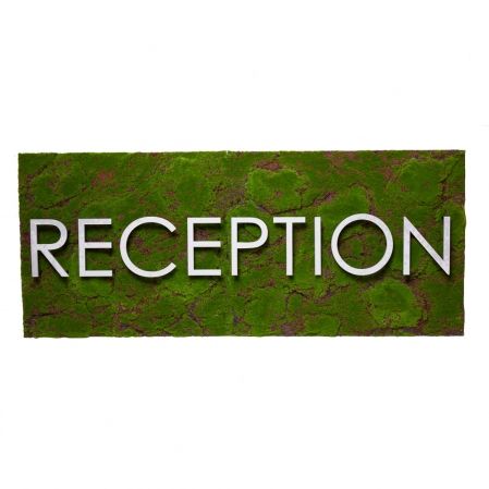 Логотип RECEPTION 120*h50
