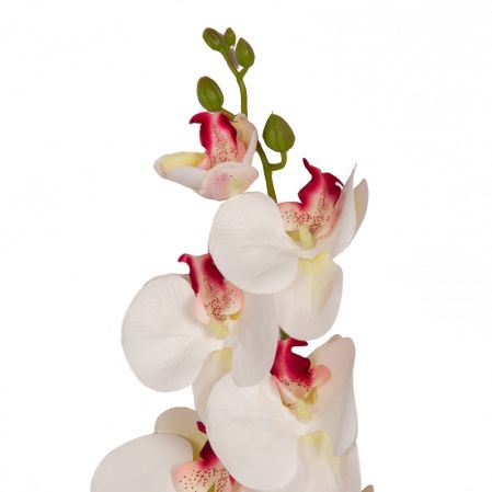 401/0150-11B Орхидея h98см(латекс) белая с бордо