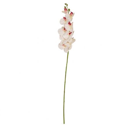 401/0150-11B Орхидея h98см(латекс) белая с бордо