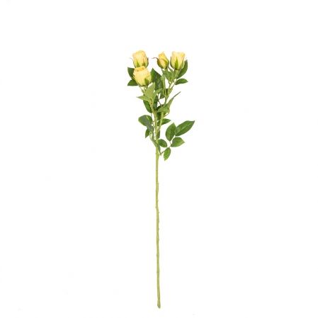 401/0159-3В Роза кустовая *5 h60см (желтая)